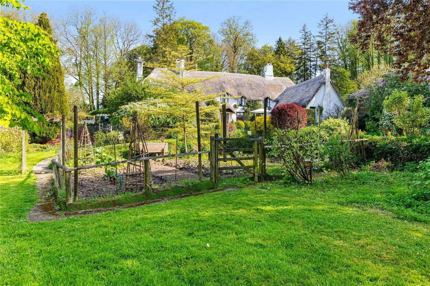 Chudleigh, Newton Abbot, TQ13 photo 20