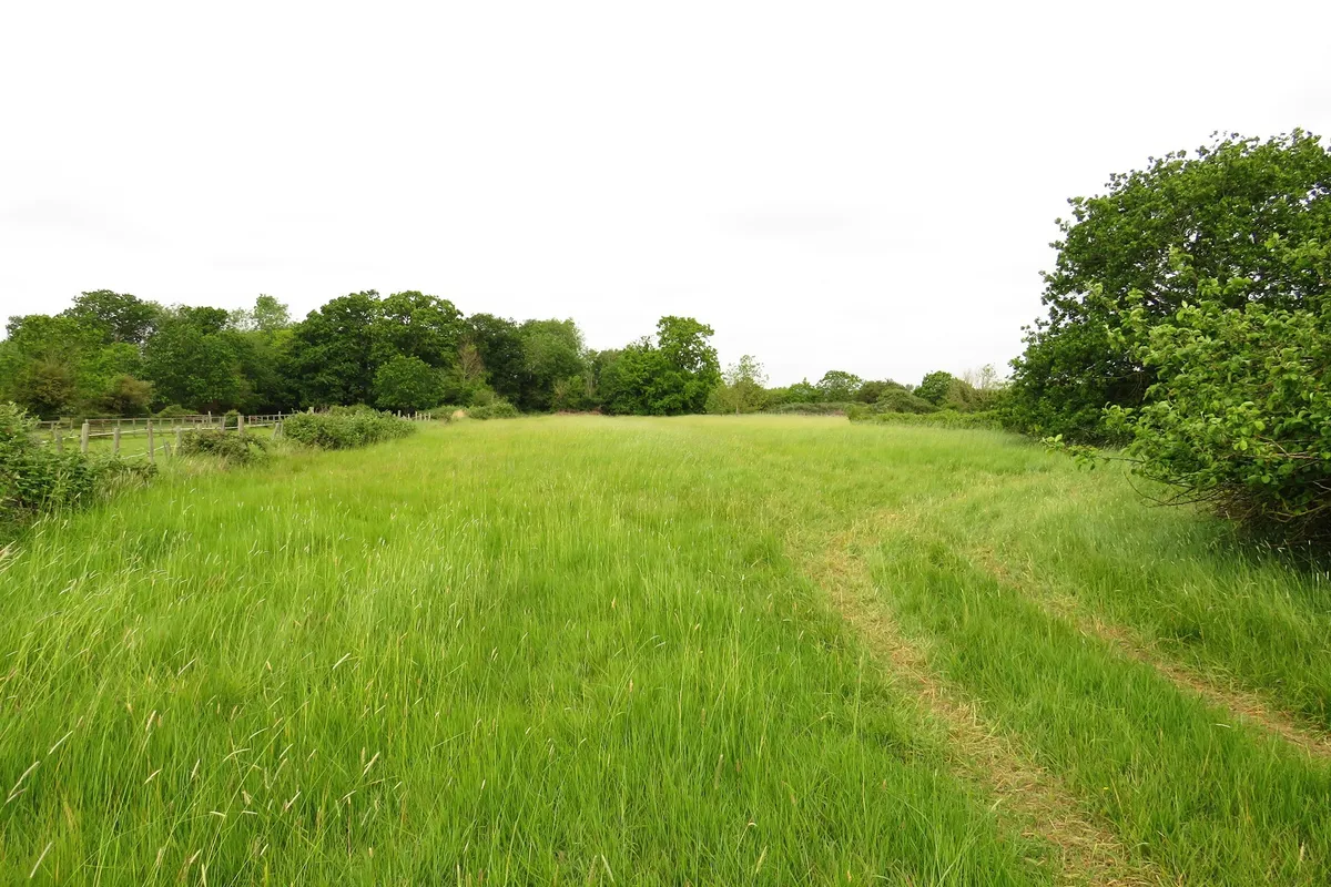 Westfield Road, Manea, March