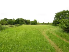 Westfield Road, Manea, March photo
