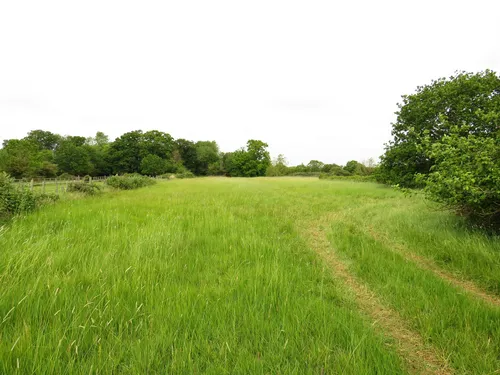 Westfield Road, Manea, Marchphoto