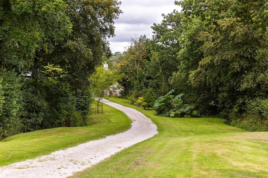 Property Image 43