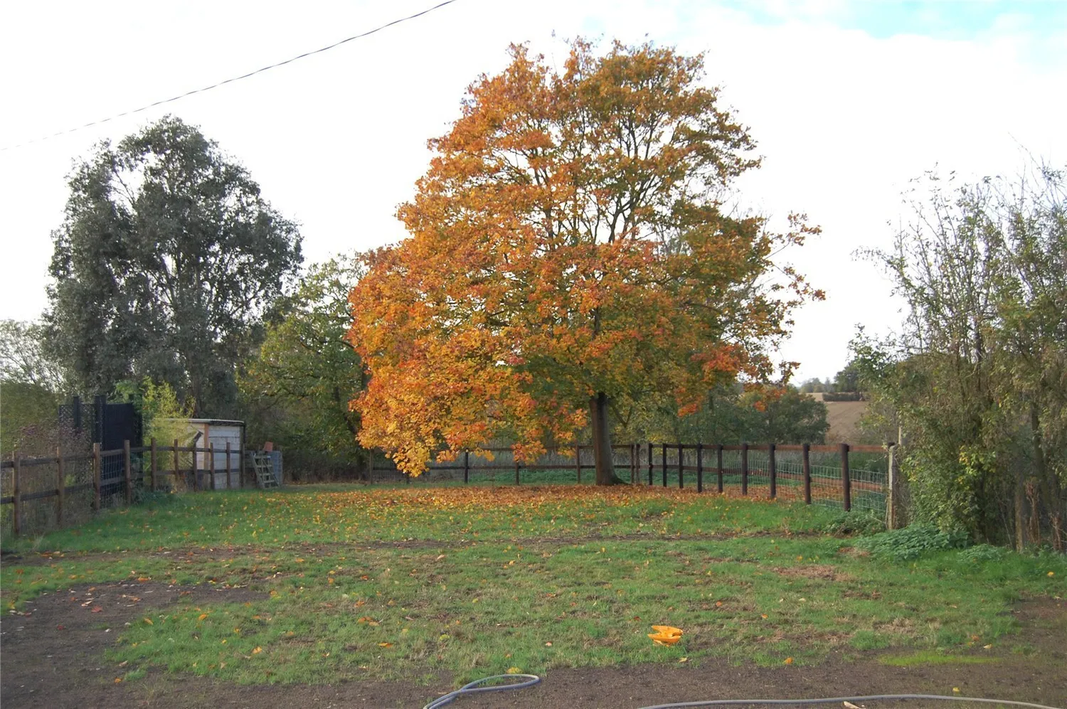Chelmshoe Cottages, Monks Lodge Road, CO9 photo 2
