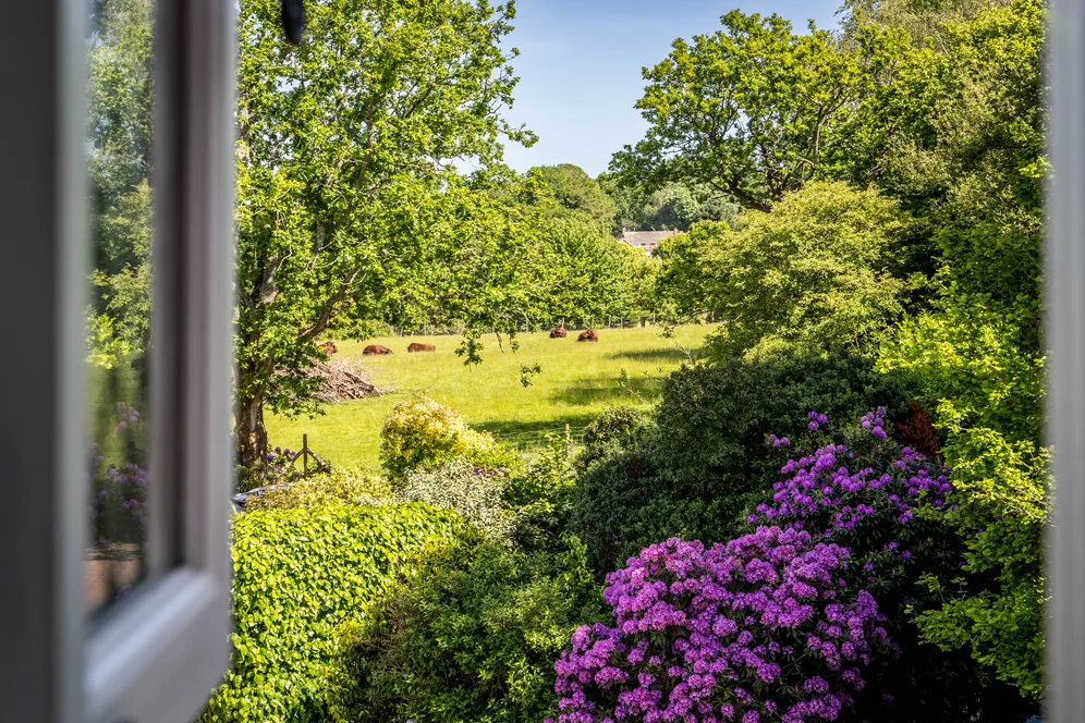 Farnham Lane, Tunbridge Wells, TN3 photo 18