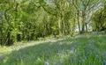 Property image gallery
