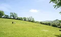 Property image gallery