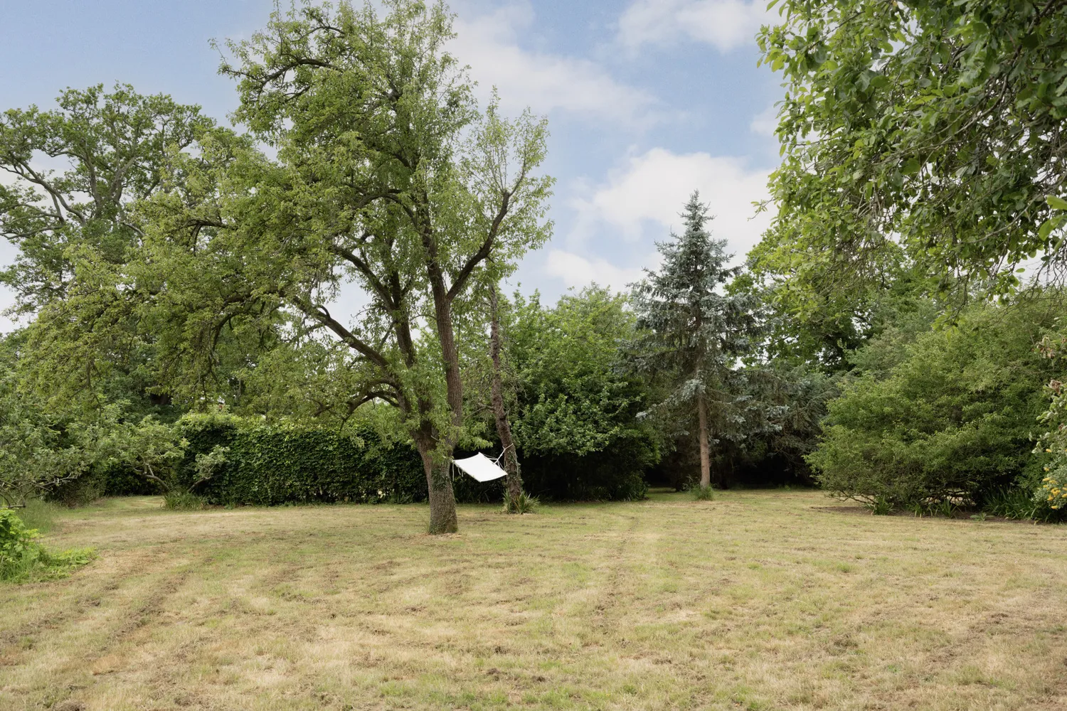 Spratts Green, Aylsham, NR11 photo 26