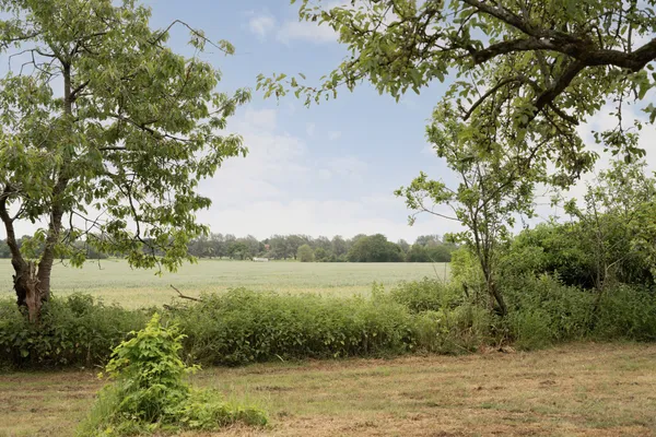 Spratts Green, Aylsham, NR11 photo 27