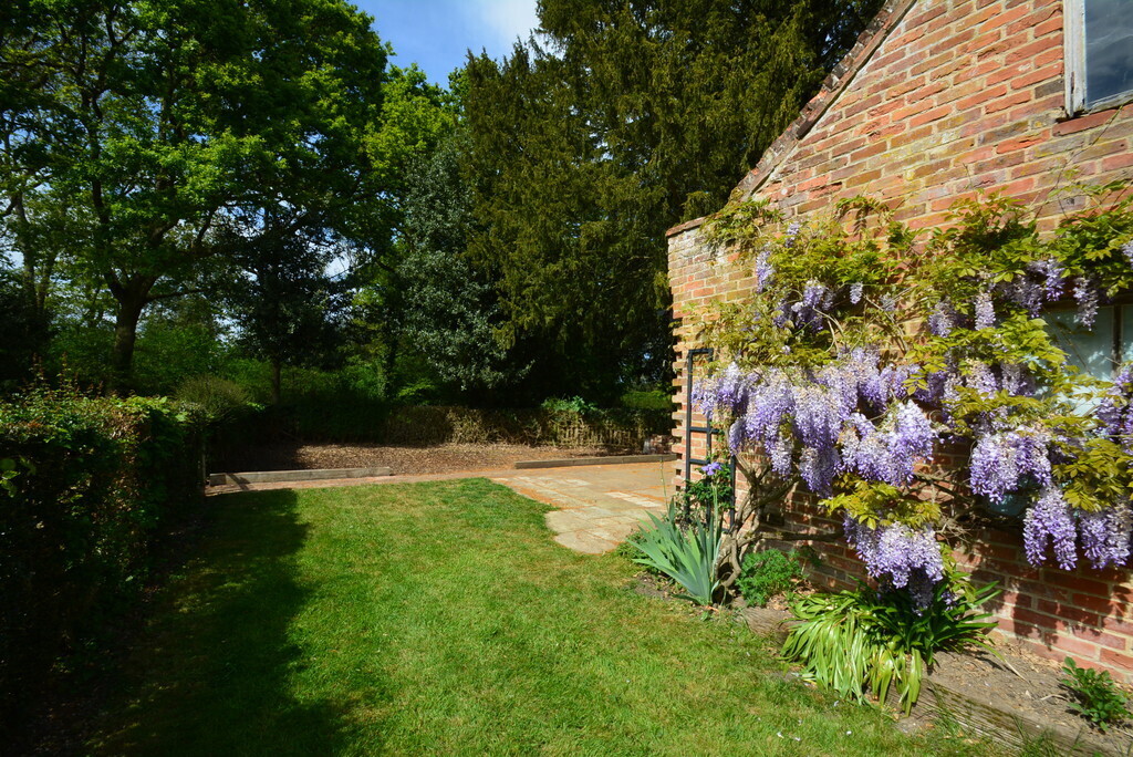 Kirstead, Norwich Image 23