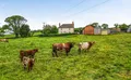 Property image gallery