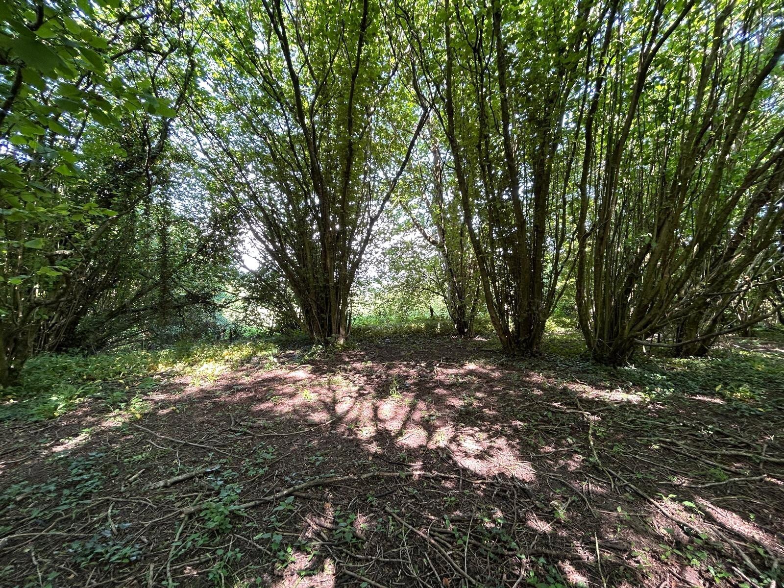 Hinton Hill, Crewkerne, TA18