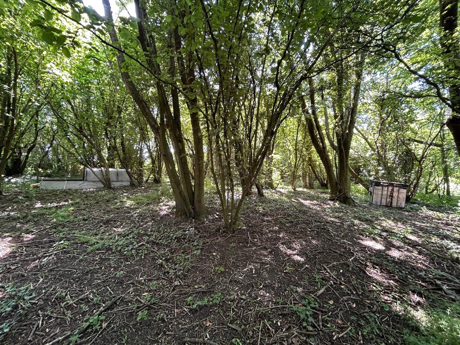 Hinton Hill, Crewkerne, TA18