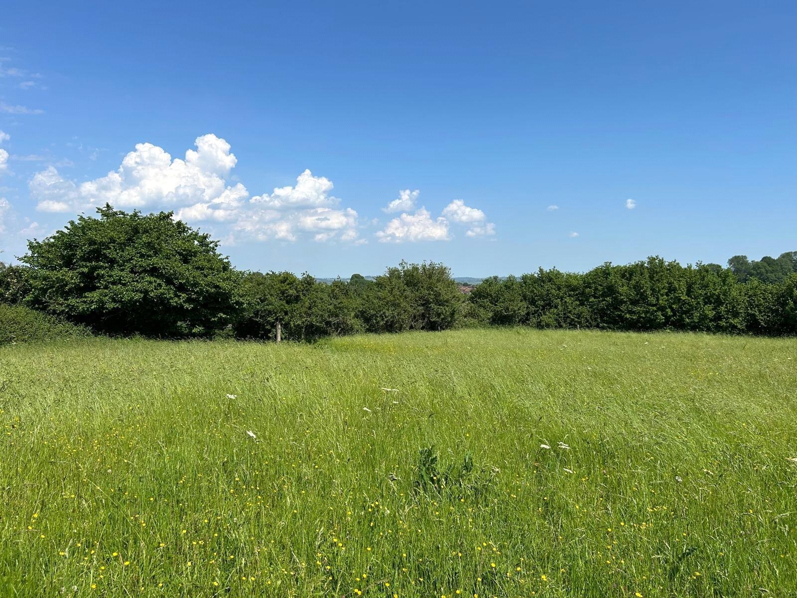 Hinton Hill, Crewkerne, TA18