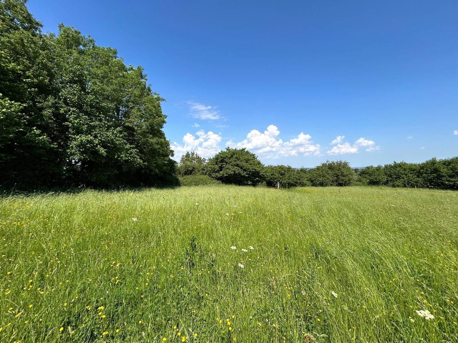 Hinton Hill, Crewkerne, TA18
