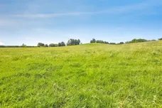 daisy bank, mayfield, ashbourne