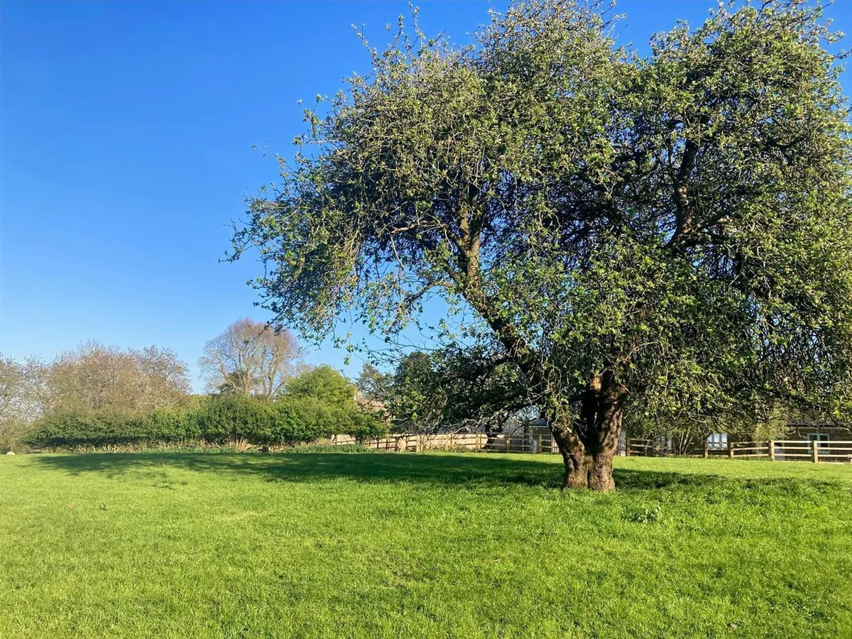 The Village Paddock at Bisbrooke, Rutland - about 1.15 acres