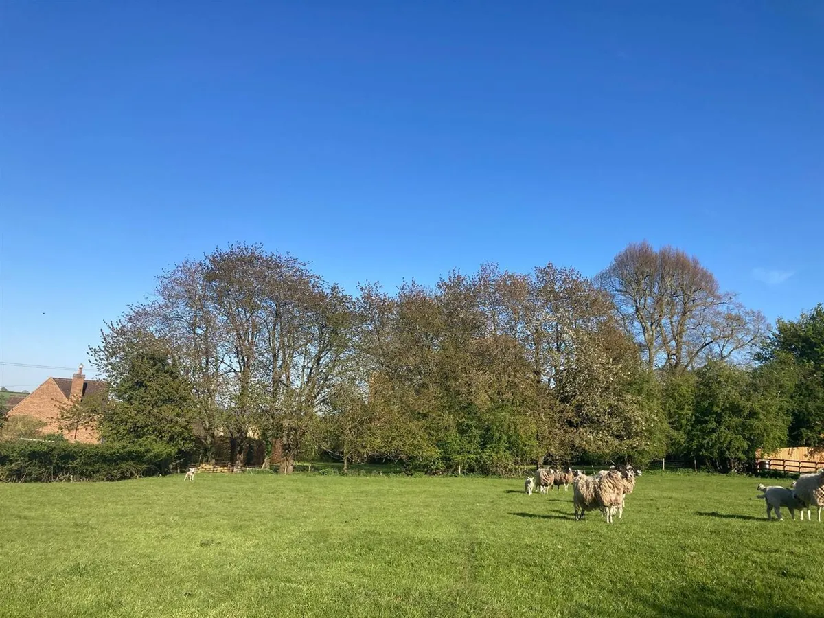 The Village Paddock at Bisbrooke, Rutland - about 1.15 acres