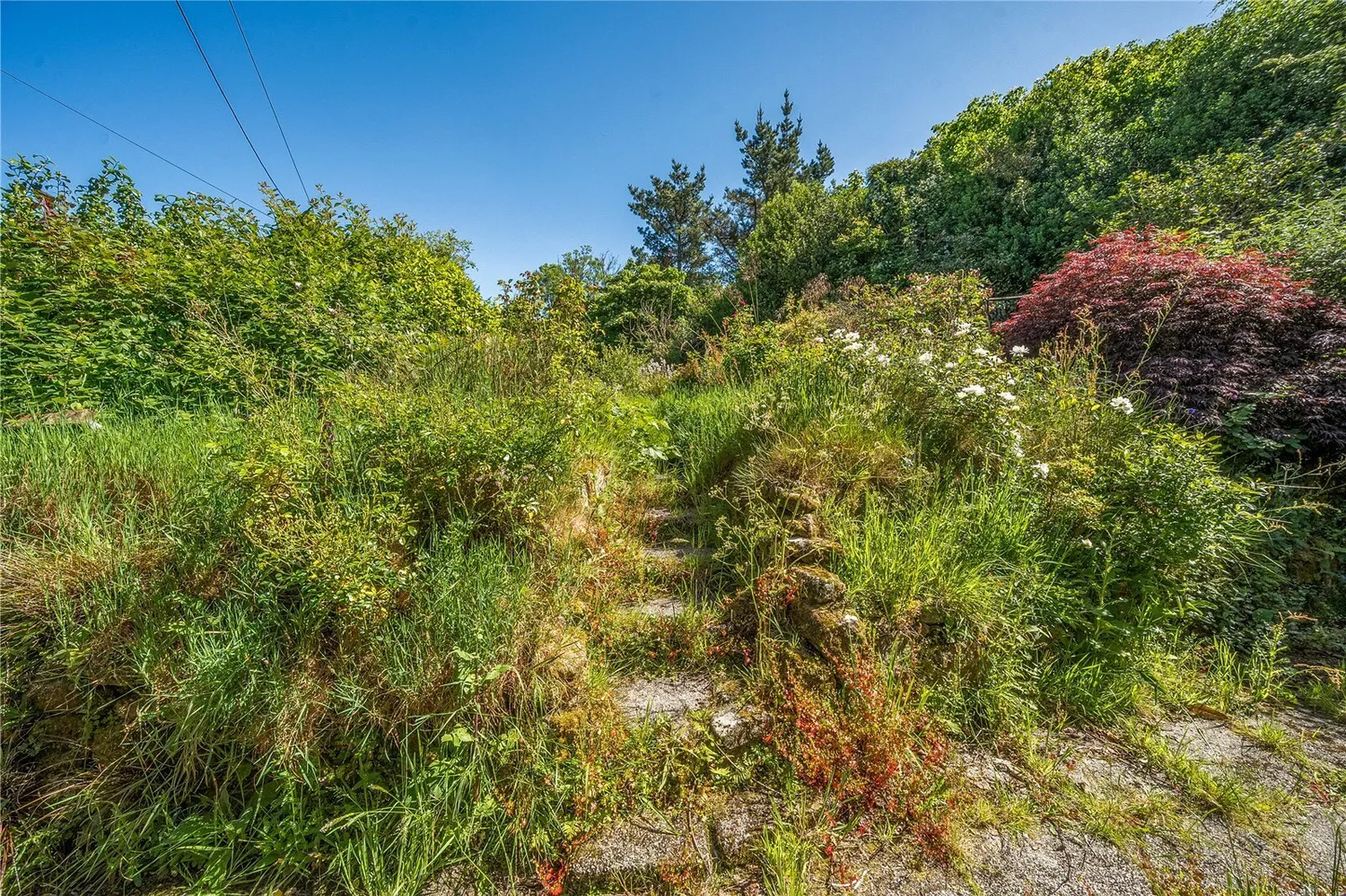 Lezerea, Porkellis, TR13 photo 18