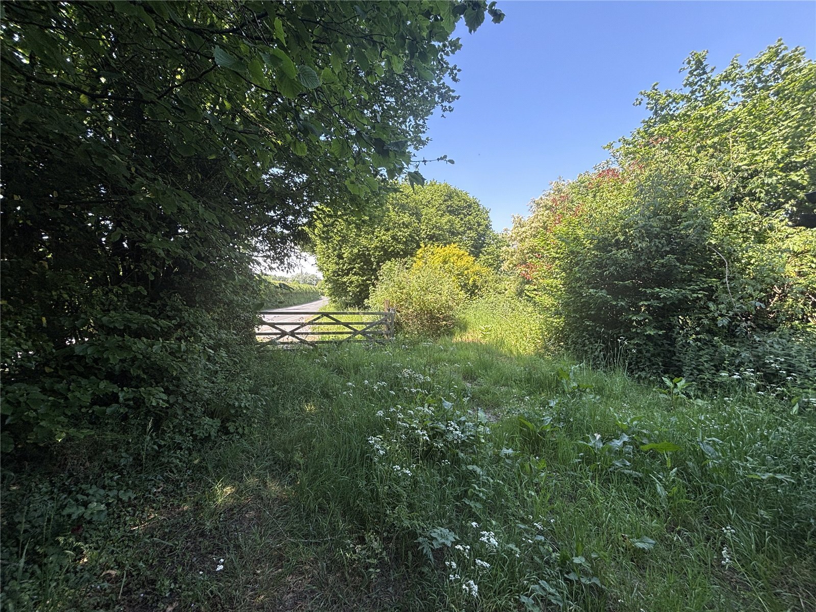 Henley, Dorchester, Dorset, DT2
