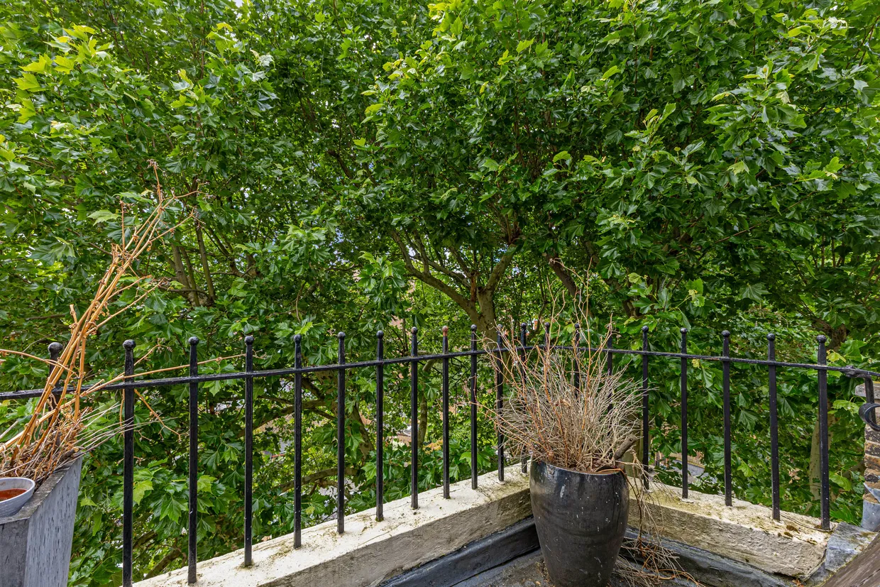 Cliveden Place, London, SW1W photo 7