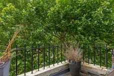 Cliveden Place, London, SW1W photo 7