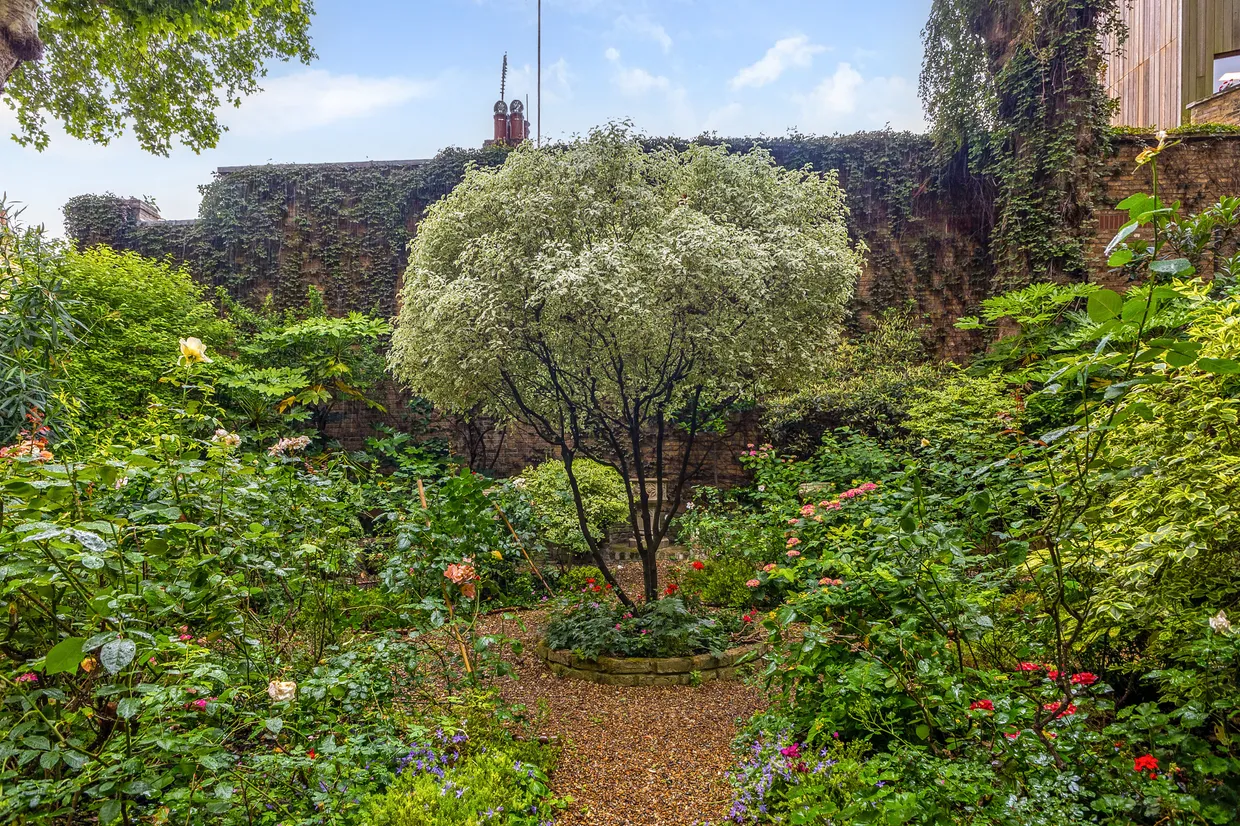Cliveden Place, London, SW1W photo 6