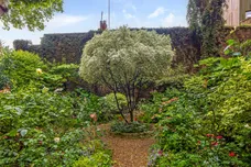 Cliveden Place, London, SW1W photo 6