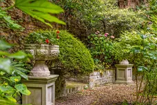 Cliveden Place, London, SW1W photo 7