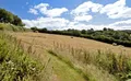 Property image gallery