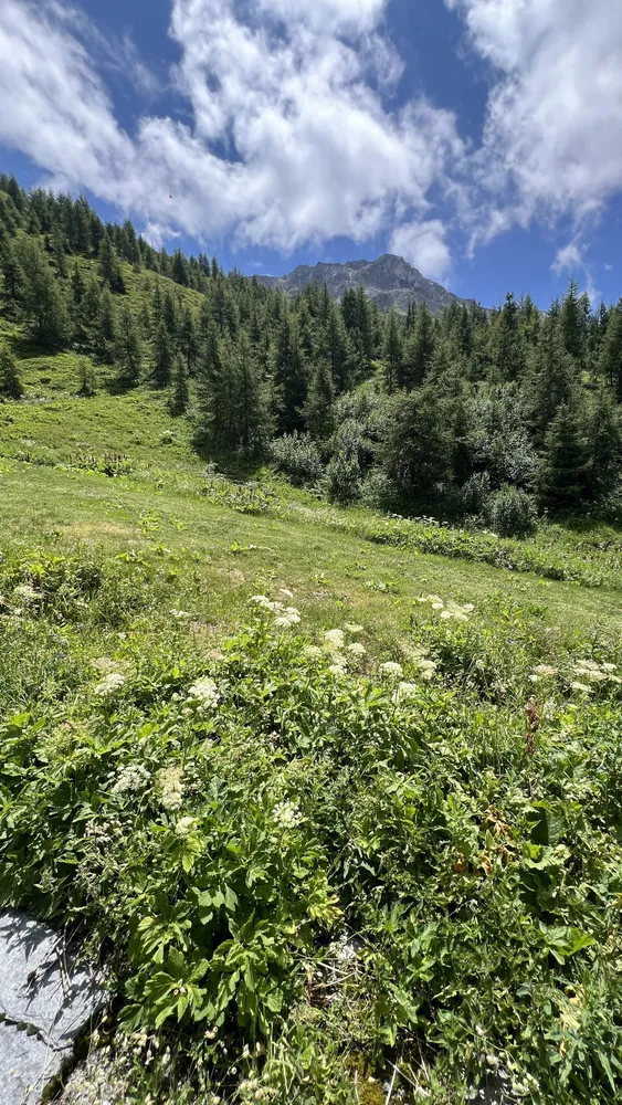 Sainte-Foy-Tarentaise, Savoie, France