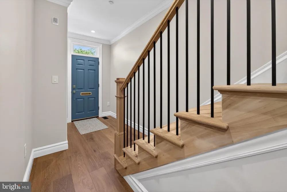 11 1/2 College Ave, Annapolis, MD 21401