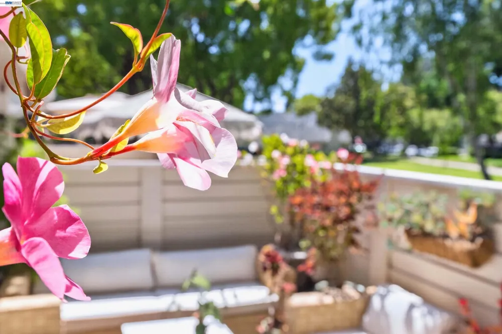 7483 Stonedale Dr, Pleasanton, CA 94588
