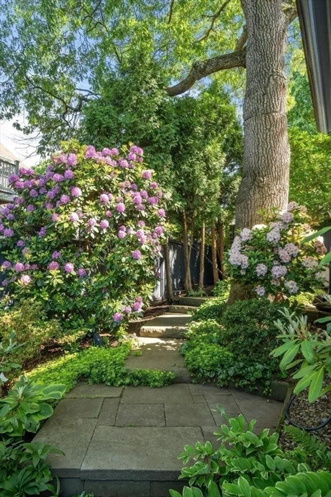 20 Enfield St, Boston, MA 02130