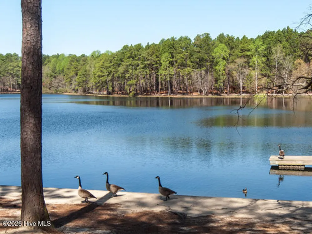 325 Lupin Pl, Southern Pines, NC 28387