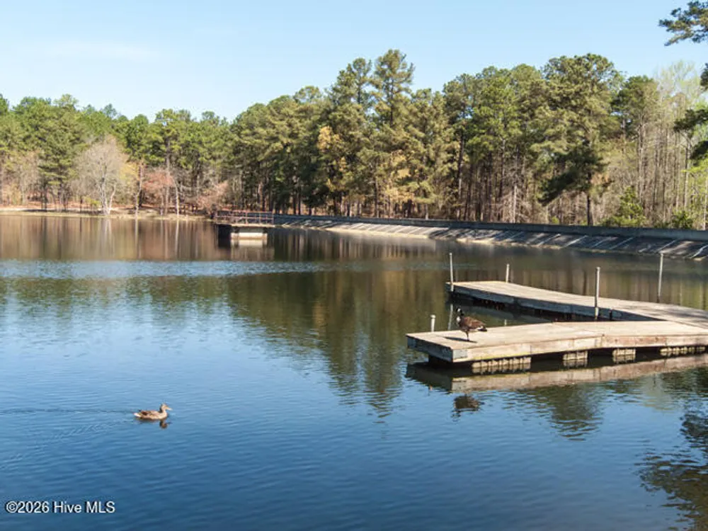 325 Lupin Pl, Southern Pines, NC 28387
