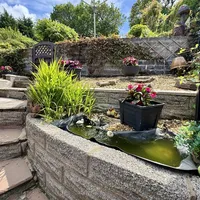 Property 25