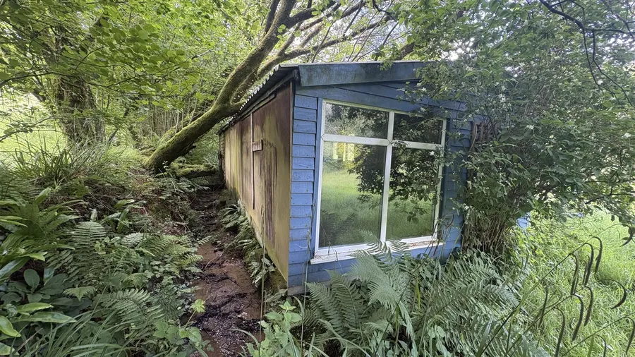 Property Image 53