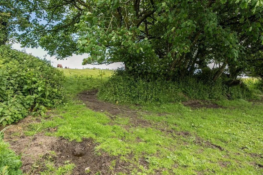 Property Image 41