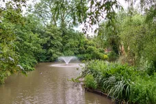 The Knoll, Ealing, W13 photo 10