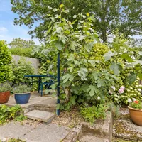 Property 16