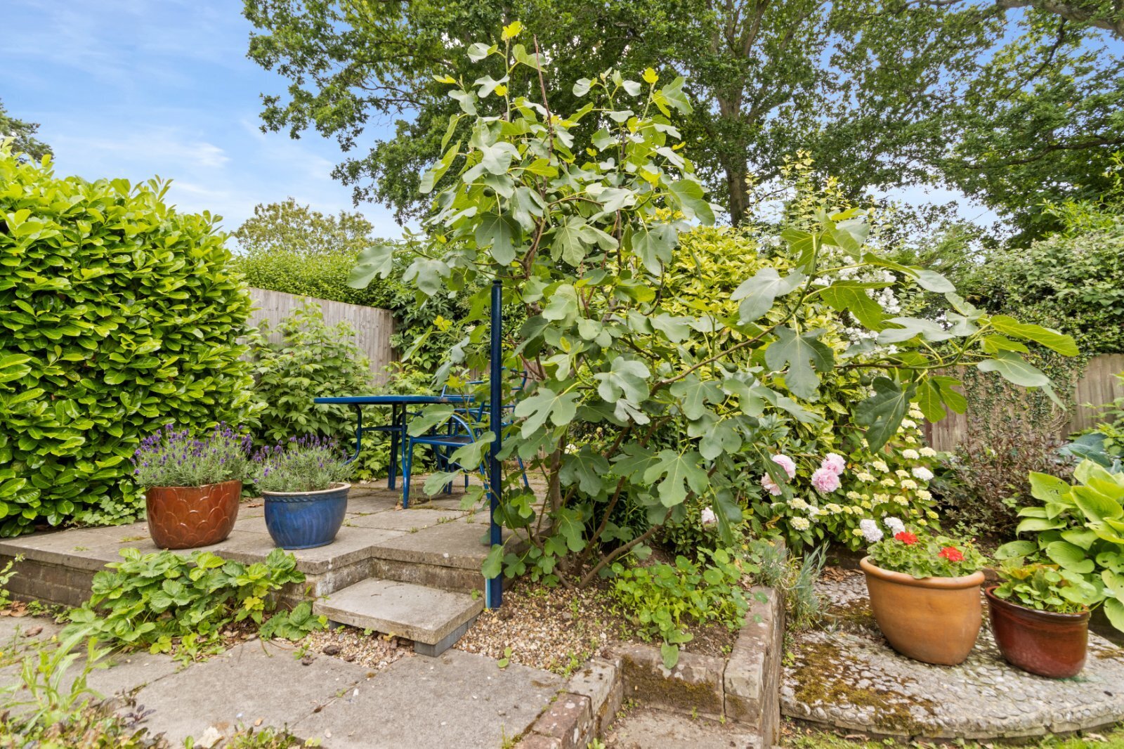 Park View, Buxted, Uckfield, East Sussex, TN22 Image 16