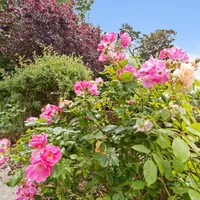 Property 18