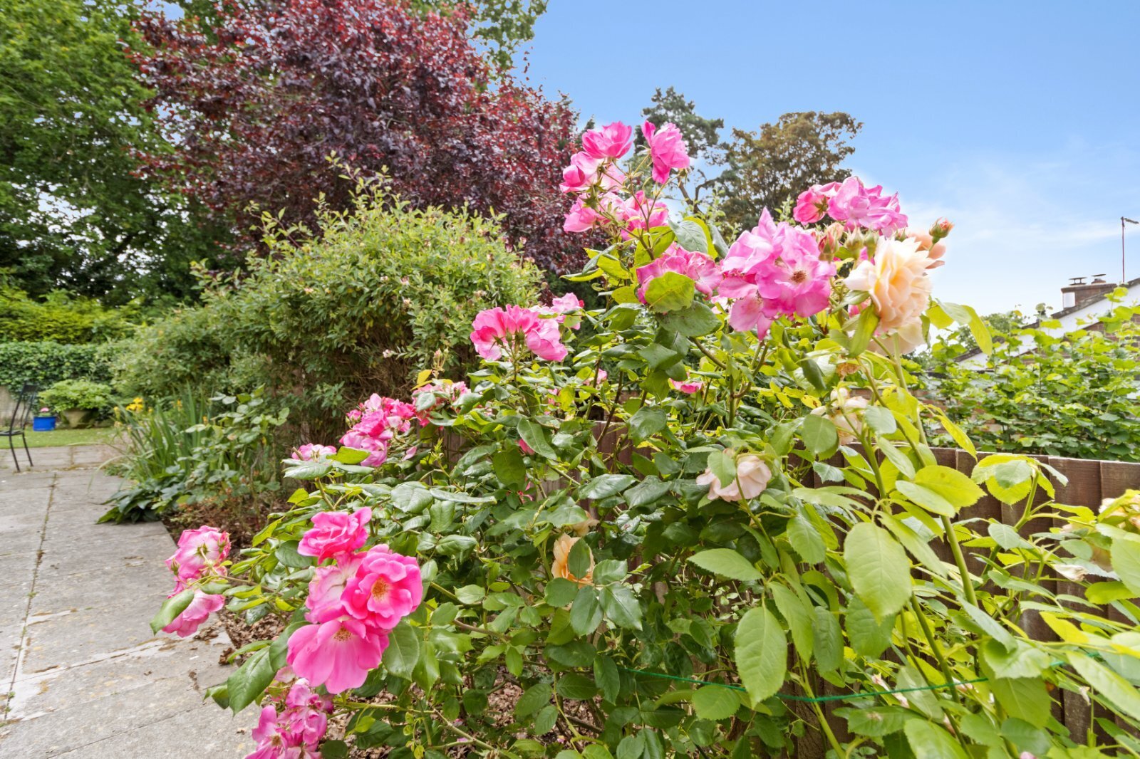 Park View, Buxted, Uckfield, East Sussex, TN22 Image 18