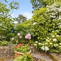 Property 19