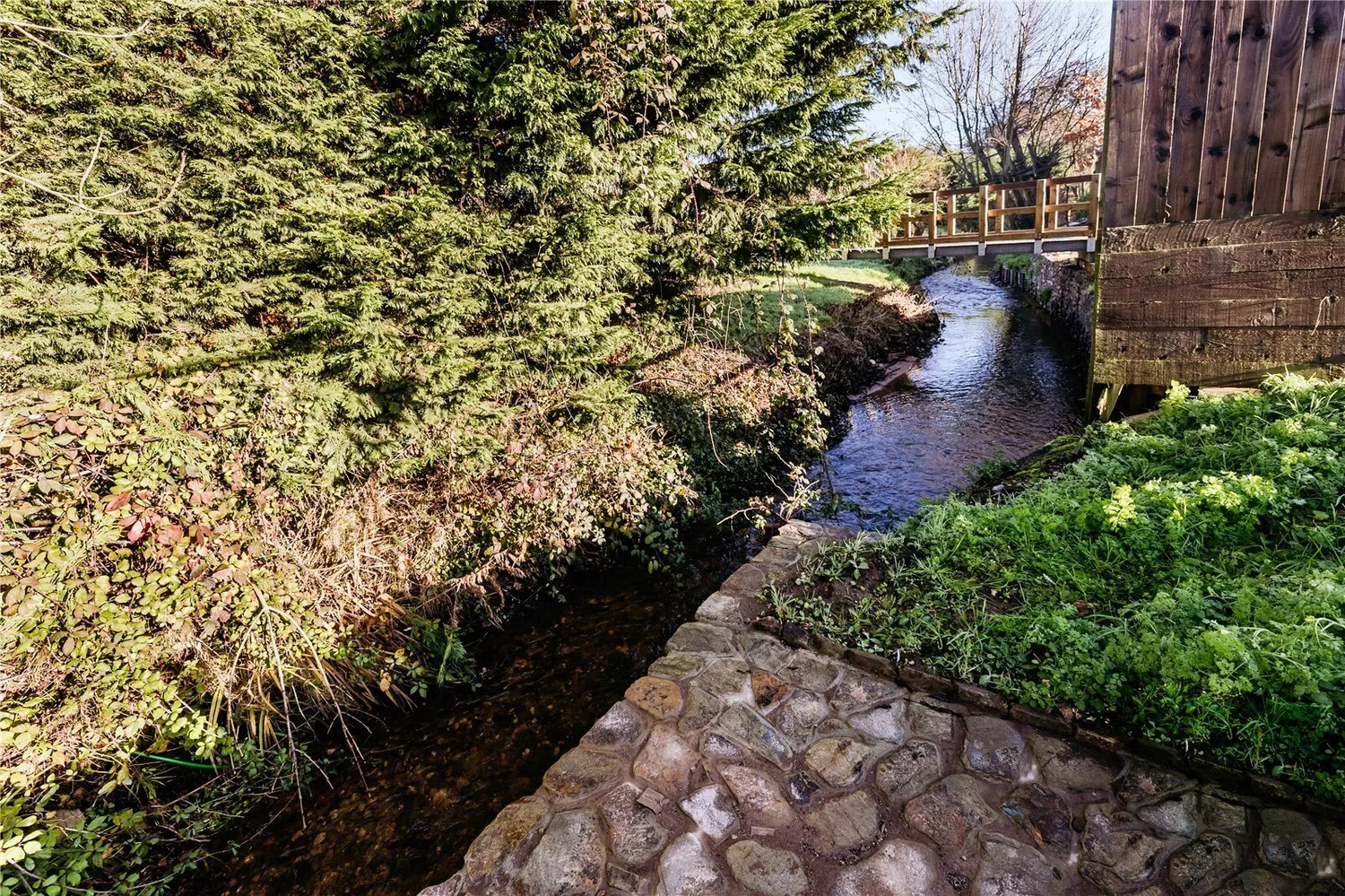 Waterleat Gardens, Newton Poppleford, EX10 photo 10