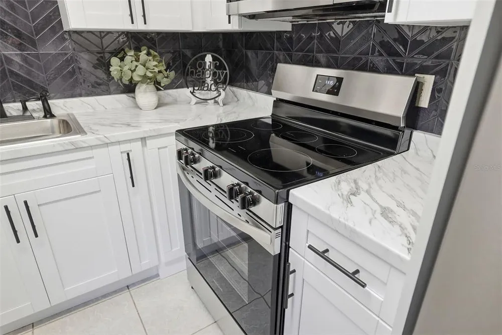11707 Raintree Village Blvd, Temple Terrace, FL 33617