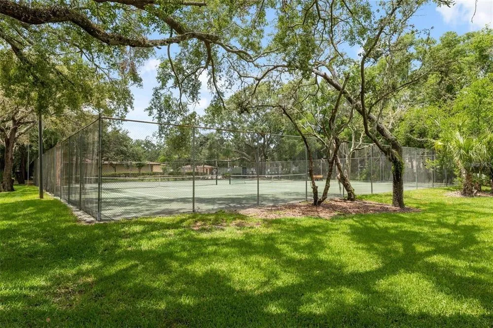 11707 Raintree Village Blvd, Temple Terrace, FL 33617