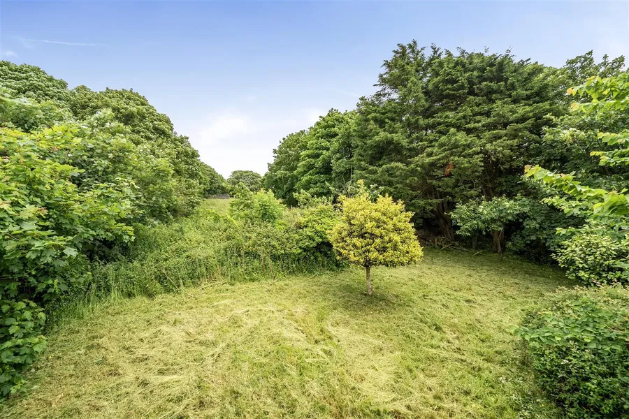 Property Image 49