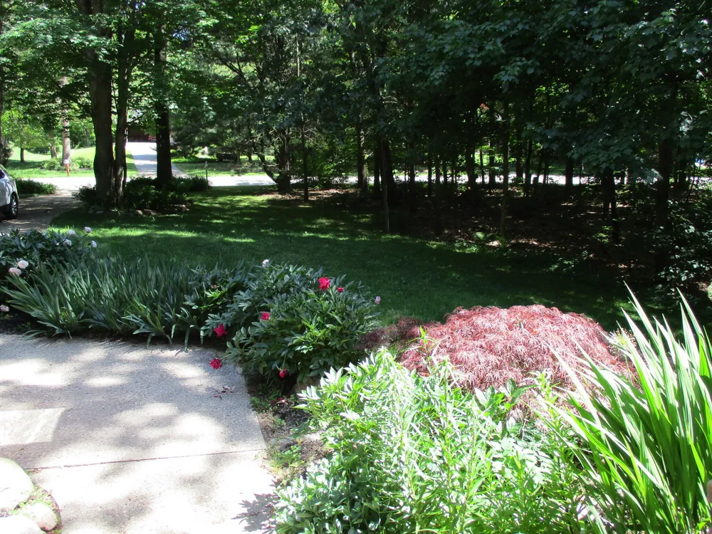 6417 Ototeman Trail, Saugatuck, MI 49453
