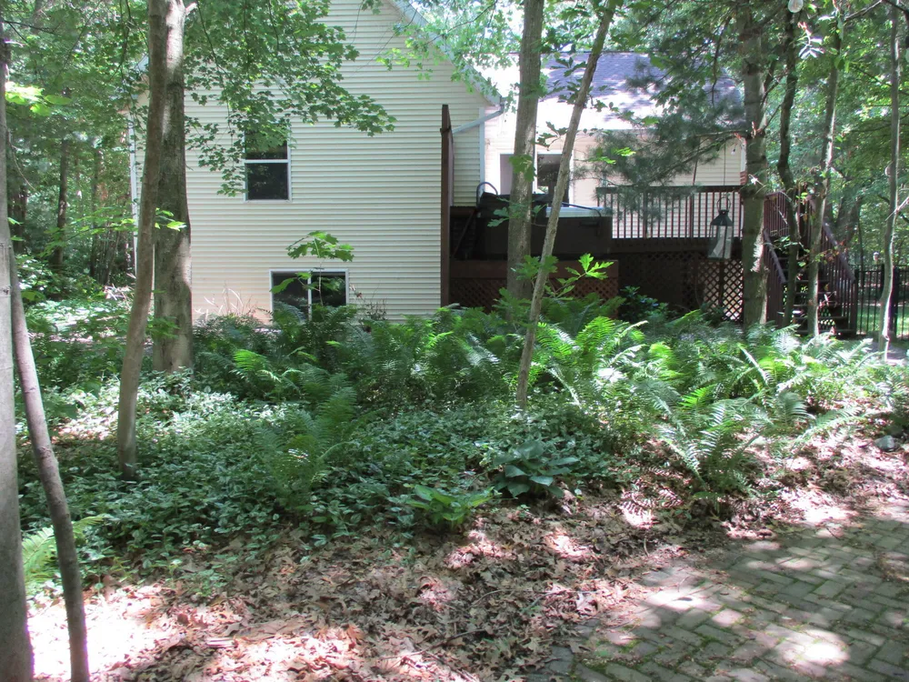 6417 Ototeman Trail, Saugatuck, MI 49453