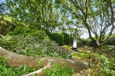 Sussex Square, Brighton